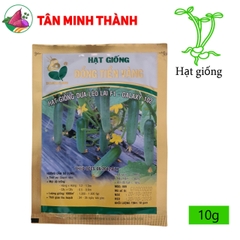 Dưa Leo GALAXY 102 - Hạt giống Đồng Tiền Vàng