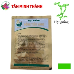 Dưa Leo GALAXY 102 - Hạt giống Đồng Tiền Vàng
