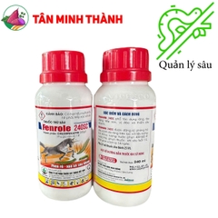 Fenrole 240SC - Thuốc đặc trị sâu xanh da láng, phen rồ xóa sổ sâu kháng, sâu cuốn lá, sâu phao, sâu ăn lá