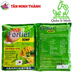 Forliet 80WP - Thuốc trừ bệnh loét sọc mặt cạo, sương mai, sọc lá, thối nhũn, cháy lá, nứt thân xì mủ, vàng lá thối rễ