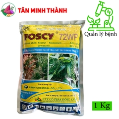 Foscy 72WP - Thuốc đặc trị chết nhanh, chết cây con, nứt thân xì mủ