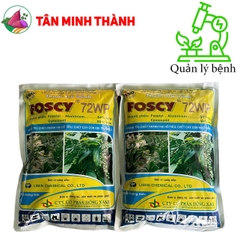 Foscy 72WP - Thuốc đặc trị chết nhanh, chết cây con, nứt thân xì mủ