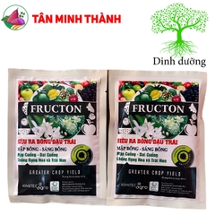 Fructon - Thuốc ra hoa, mập bông, sáng bông, mập cuống, dai cuống, chống rụng trái