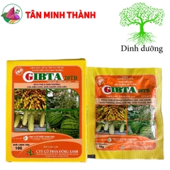 Ga3 Cao Cấp Gibta T20 - Thuốc kích thích sinh trưởng, to trái, vọt đọt