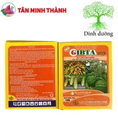 Ga3 Cao Cấp Gibta T20 - Thuốc kích thích sinh trưởng, to trái, vọt đọt