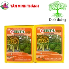 Ga3 Cao Cấp Gibta T20 - Thuốc kích thích sinh trưởng, to trái, vọt đọt