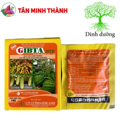 Ga3 Cao Cấp Gibta T20 - Thuốc kích thích sinh trưởng, to trái, vọt đọt