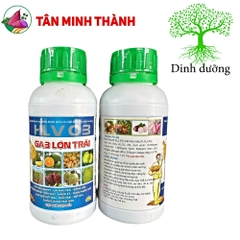 Ga3 Lớn Trái HLV 03 - Thuốc to trái, lên màu, nặng ký, cơm dầy