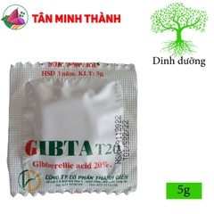 Ga3 Cao Cấp Gibta T20 - Thuốc kích thích sinh trưởng, to trái, vọt đọt