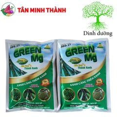 Green Mg - Biến vàng thành xanh, xanh càng thêm xanh, ngừa vàng lá, xoắn lá sầu riêng