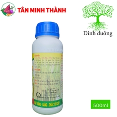 Hạt Vàng Đầu Bò Foli4 - Siêu to hạt, vô gạo, chắc tới cậy, trổ nhanh, đồng loạt, cứng câ, chống nghẹn đồng