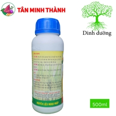 Hạt Vàng Đầu Bò Foli4 - Siêu to hạt, vô gạo, chắc tới cậy, trổ nhanh, đồng loạt, cứng câ, chống nghẹn đồng