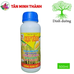 Hạt Vàng Đầu Bò Foli4 - Siêu to hạt, vô gạo, chắc tới cậy, trổ nhanh, đồng loạt, cứng câ, chống nghẹn đồng