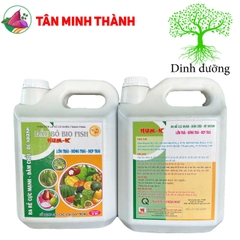 Hum K Đầu Bò Biofish - Thuốc lớn trái, bóng trái, đẹp trái