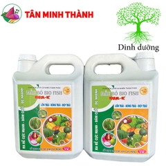 Hum K Đầu Bò Biofish - Thuốc lớn trái, bóng trái, đẹp trái