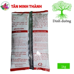 Humic Đầu Bò 21 - Kích thích ra rễ, đẻ nhánh, hạ phèn, giảm mặn, cứng cây, đứng lá, no đồng, chắc hạt, to trái
