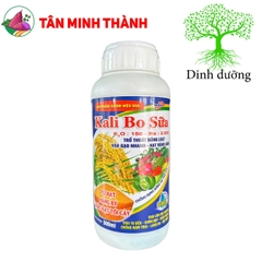 Kali Bo Sữa Lino AA - Thuốc vô gạo, sáng hạt, trổ đồng loạt