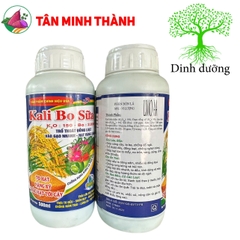 Kali Bo Sữa Lino AA - Thuốc vô gạo, sáng hạt, trổ đồng loạt