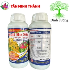 Kali Bo Sữa Lino AA - Thuốc vô gạo, sáng hạt, trổ đồng loạt