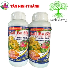 Kali Bo Sữa Lino AA - Thuốc vô gạo, sáng hạt, trổ đồng loạt