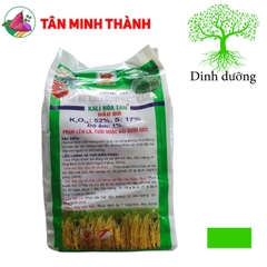 Kali Hòa Tan Đầu Bò - Giúp lớn củ, nặng ký, ngọt trái, đẹp màu, bóng da, to hạt, chống đổ ngã