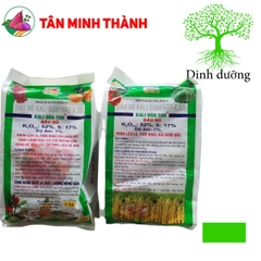 Kali Hòa Tan Đầu Bò - Giúp lớn củ, nặng ký, ngọt trái, đẹp màu, bóng da, to hạt, chống đổ ngã