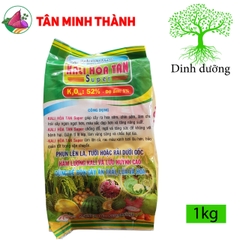 Kali Hòa Tan Đầu Bò Super - Giúp lớn củ, nặng ký, ngọt trái, đẹp màu, bóng da, to hạt, chống đổ ngã