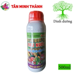 Kali Nước - Thuốc cứng cây, to hạt, chắc hạt, to củ, nặng củ, lớn trái, phì trái, bóng da, đẹp màu, nặng ký