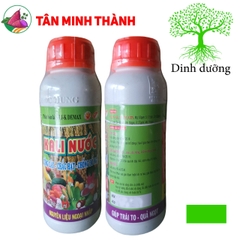 Kali Nước - Thuốc cứng cây, to hạt, chắc hạt, to củ, nặng củ, lớn trái, phì trái, bóng da, đẹp màu, nặng ký