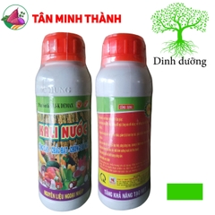 Kali Nước - Thuốc cứng cây, to hạt, chắc hạt, to củ, nặng củ, lớn trái, phì trái, bóng da, đẹp màu, nặng ký