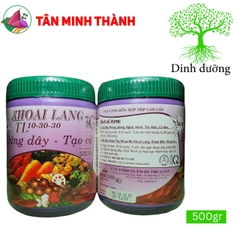 Khoai Lang 3G - Thuốc to củ, nặng ký, bóng da, đẹp màu, chống thối củ, sượng củ
