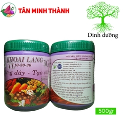 Khoai Lang 3G - Thuốc to củ, nặng ký, bóng da, đẹp màu, chống thối củ, sượng củ