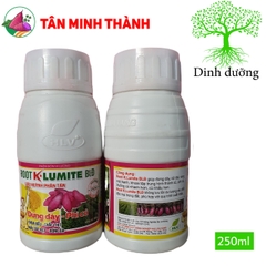 Root KLumite BLĐ Khoai Lang - Thuốc đứng dây, phì củ, to củ đều, chắc thịt, bóng da, đẹp màu