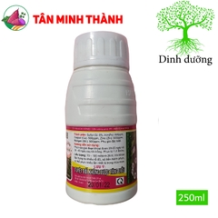Root KLumite BLĐ Khoai Lang - Thuốc đứng dây, phì củ, to củ đều, chắc thịt, bóng da, đẹp màu