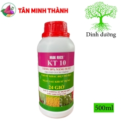MaxRice KT10 - Thuốc tăng 10% năng suất, trổ bông, to hạt, bung chồi, ra hoa, to trái, đẹp màu, nặng ký, giảm nghẽn đầu lân