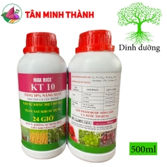 MaxRice KT10 - Thuốc tăng 10% năng suất, trổ bông, to hạt, bung chồi, ra hoa, to trái, đẹp màu, nặng ký, giảm nghẽn đầu lân