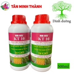 MaxRice KT10 - Thuốc tăng 10% năng suất, trổ bông, to hạt, bung chồi, ra hoa, to trái, đẹp màu, nặng ký, giảm nghẽn đầu lân