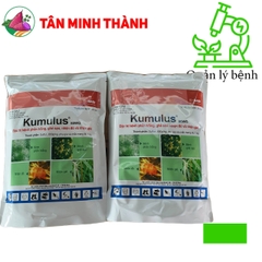 Kumulus 80WG - Thuốc đặc trị ghẻ sẹo, nhện đỏ, nhện gié, phấn trắng