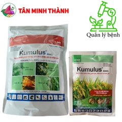 Kumulus 80WG - Thuốc đặc trị ghẻ sẹo, nhện đỏ, nhện gié, phấn trắng