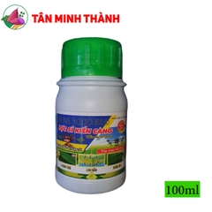 Lực Sĩ Kiến Càng - Chất trợ lực, lưu dẫn, thấm sâu, tăng hiệu quả thuốc bảo vệ thực vật