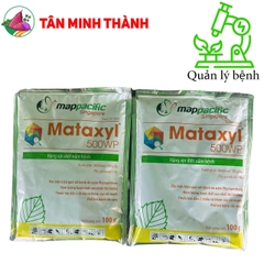 Mataxyl 500WP - Thuốc trừ bệnh vàng rụng lá, sương mai, thối trái, phấn trắng, héo nhan, loét sọc mặt cạo