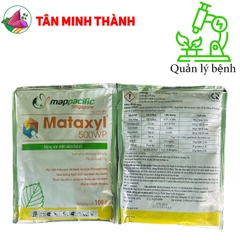 Mataxyl 500WP - Thuốc trừ bệnh vàng rụng lá, sương mai, thối trái, phấn trắng, héo nhan, loét sọc mặt cạo