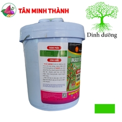 Max Japan - Giúp phì trái, lớn trái, vị ngọt, nặng ký, to trái, bóng trái