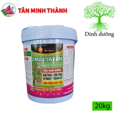 Max Japan - Giúp phì trái, lớn trái, vị ngọt, nặng ký, to trái, bóng trái