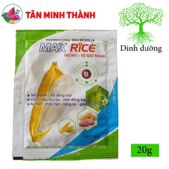 Max Rice To Hạt - Thuốc tạo hạt, vô gạo nhanh, trổ đồng loạt, chín chắc tới cậy, chín đồng loạt, nặng ký
