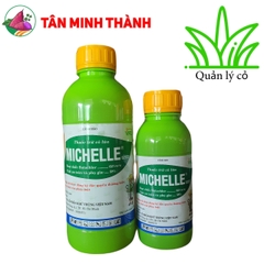 Michelle 62EC - Thuốc trừ cỏ diệt mầm lúa, đặc trị lúa lộn, cỏ chác lác, cỏ lá rộng, cỏ lồng vực, cỏ đuôi phụng
