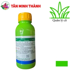Michelle 62EC - Thuốc trừ cỏ diệt mầm lúa, đặc trị lúa lộn, cỏ chác lác, cỏ lá rộng, cỏ lồng vực, cỏ đuôi phụng