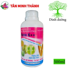 Nano K++ - Thuốc cứng cây, đứng lá, chống ngã, trổ đồng loạt, vô gạo, chắc hạt, to hạt, nặng ký, sáng hạt