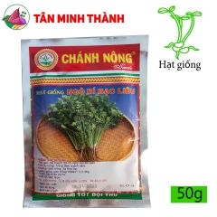 Ngò Rí Bạc Liêu - Hạt giống Chánh Nông