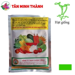 Ngò Rí Bạc Liêu - Hạt giống Chánh Nông